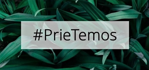 PrieTemos. Nepakuojama dovana. image